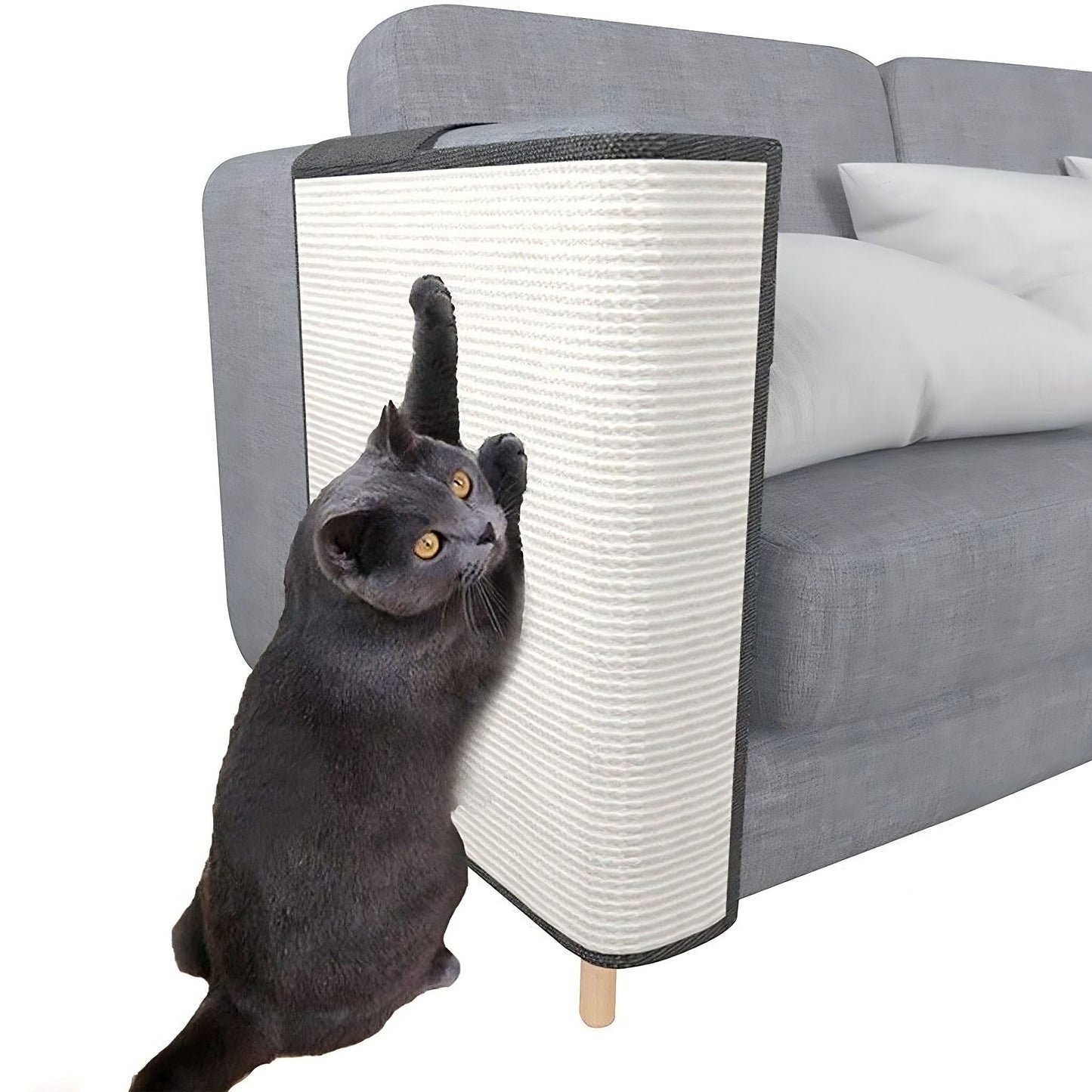 Protect Your Sofa from Scratches – Keep Your Cat Happy