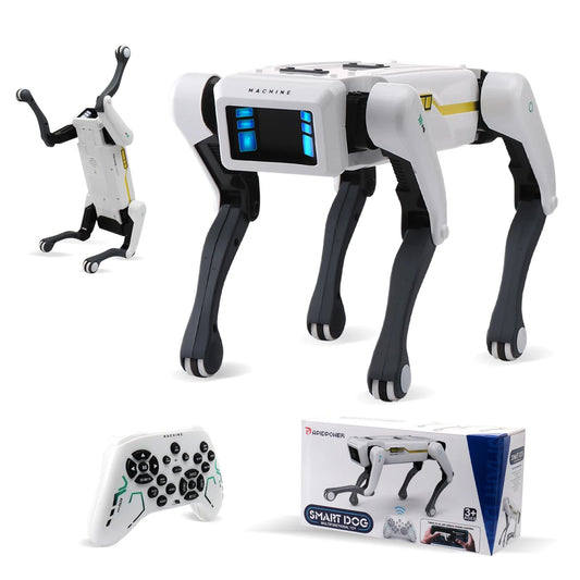 Meet Your New Best Friend – Smart AI Robot Dog