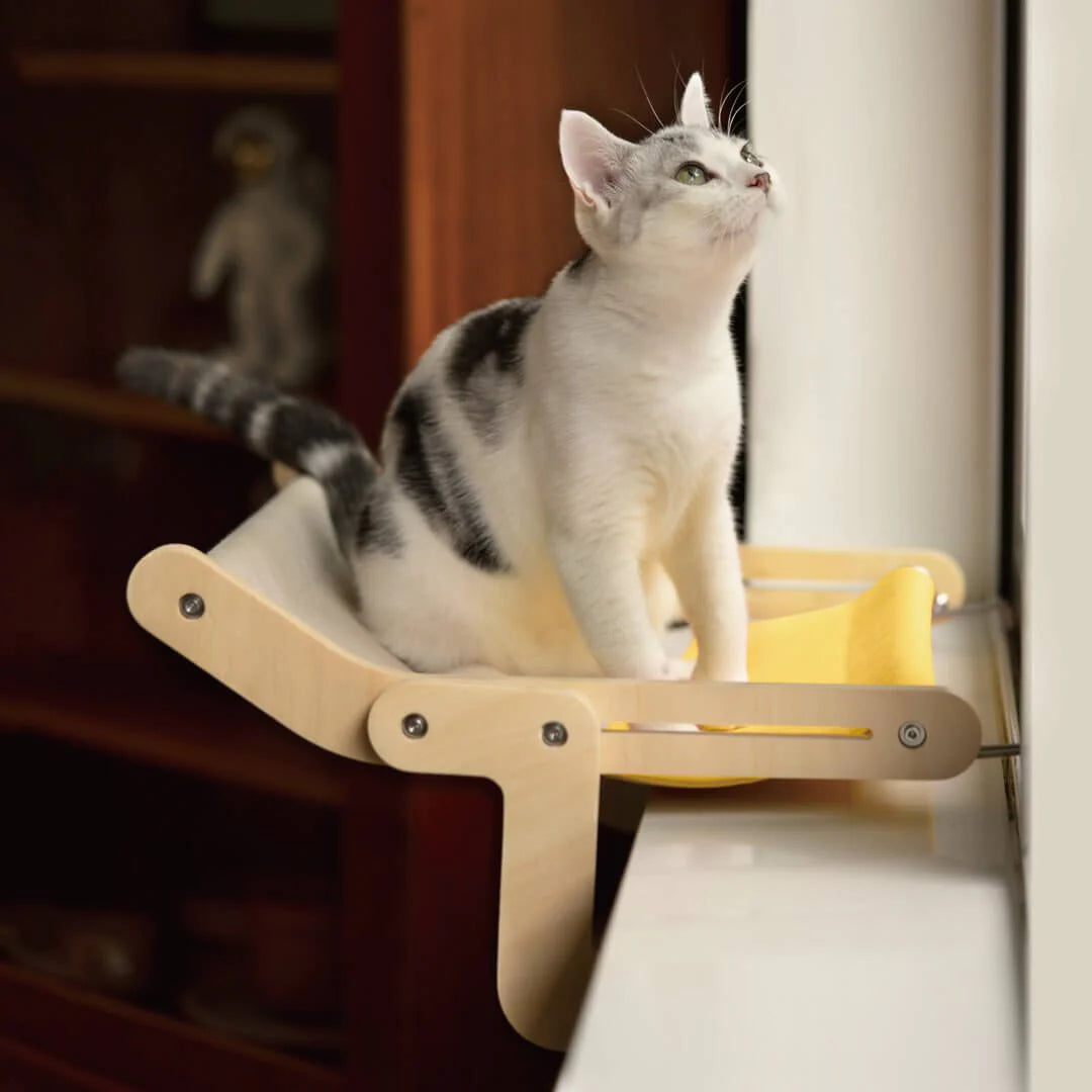 Hanging Cat Bed – Elevated Comfort for Your Pet
