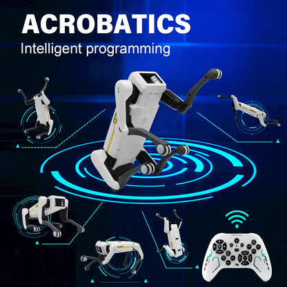 Meet Your New Best Friend – Smart AI Robot Dog