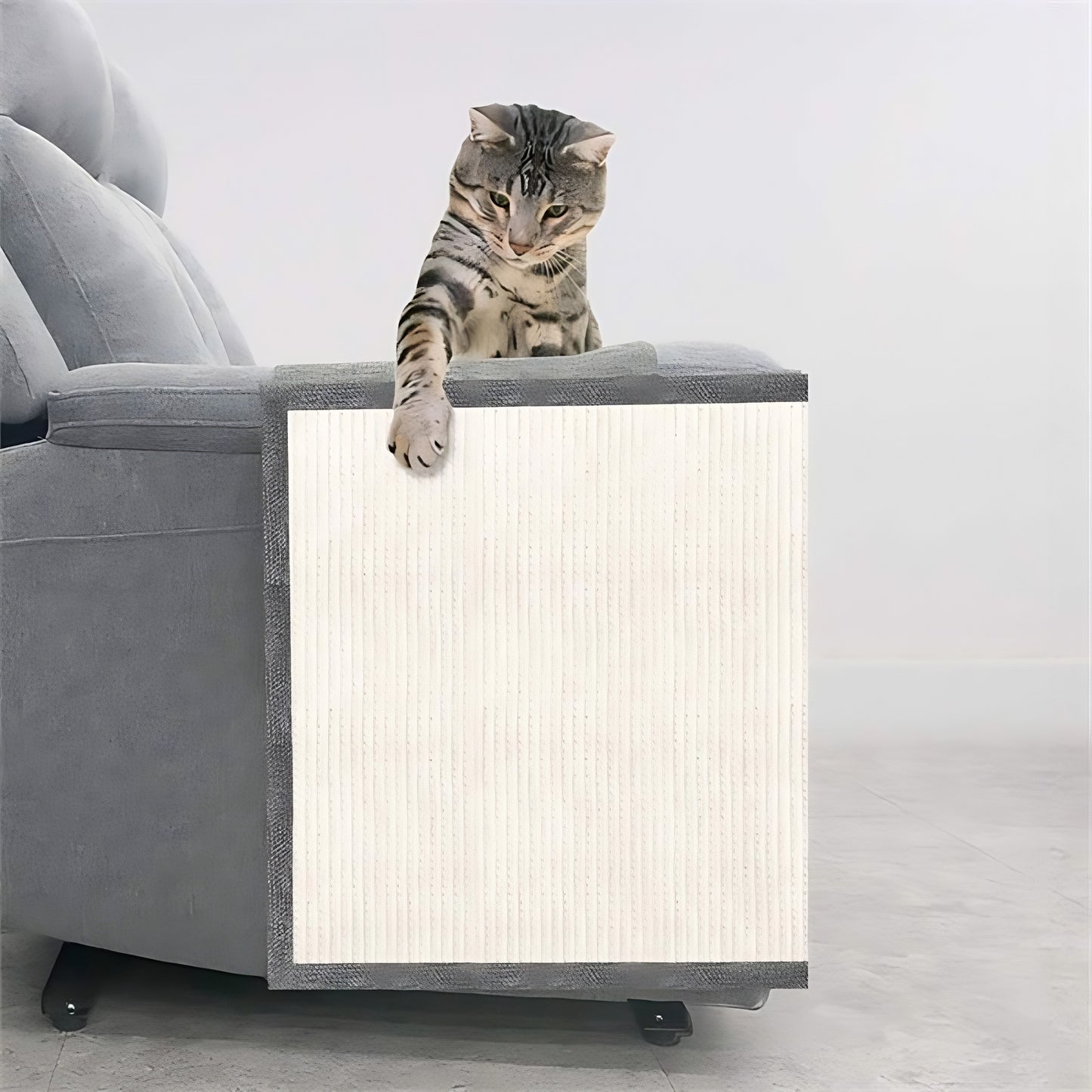 Protect Your Sofa from Scratches – Keep Your Cat Happy