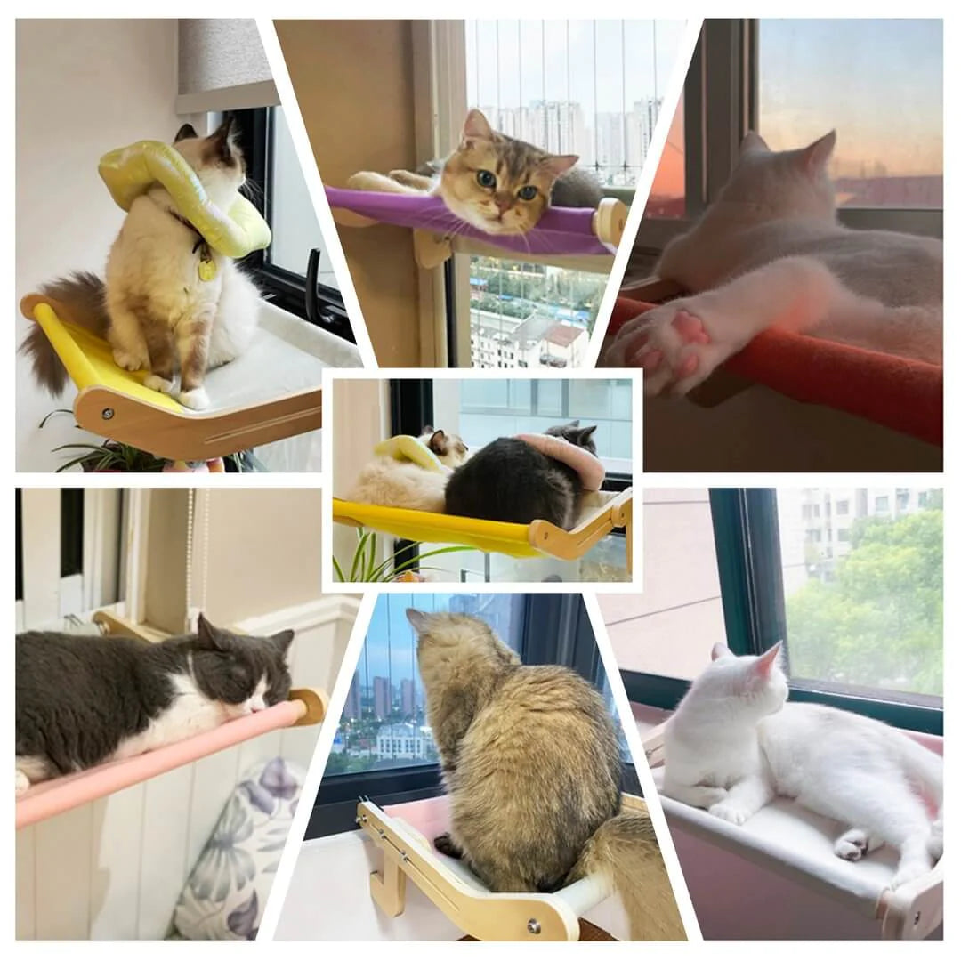 Hanging Cat Bed – Elevated Comfort for Your Pet