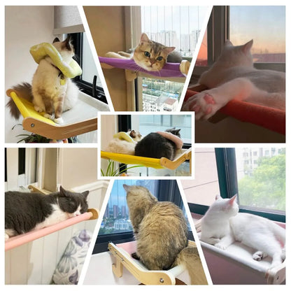Hanging Cat Bed – Elevated Comfort for Your Pet