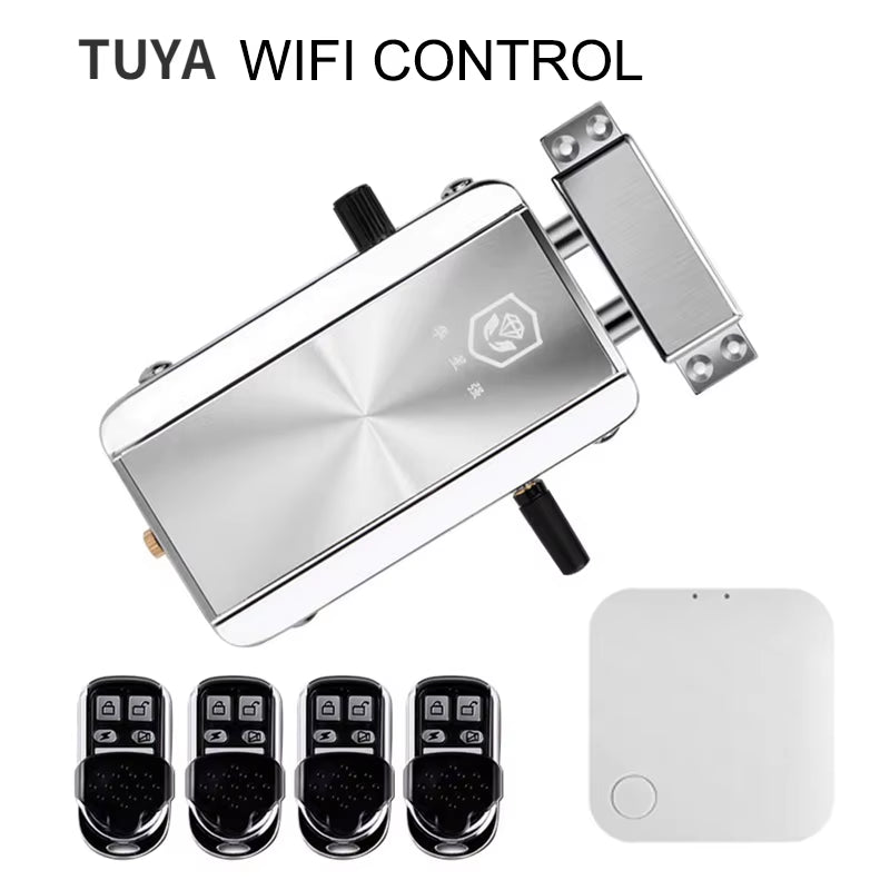 Tuya Wifi Remote Control Lock Ttlock Smart Door Lock Wireless Bluetooth Smart Lock Invisible Deadbolt Hidden Keyless Locks